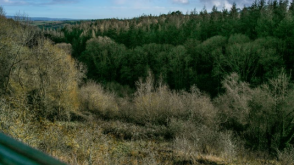 Development in Exeter photo